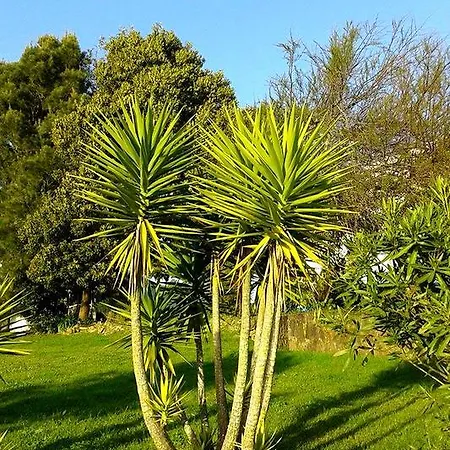 Casa Branca Prázdninový dům Sintra